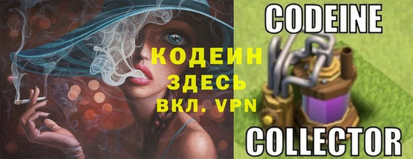 шишки Беломорск