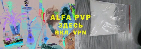 прущие грибы Белоозёрский