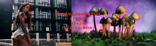 дмт Белокуриха