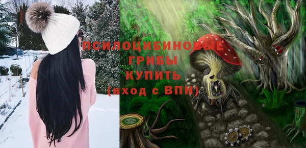 дмт Белокуриха