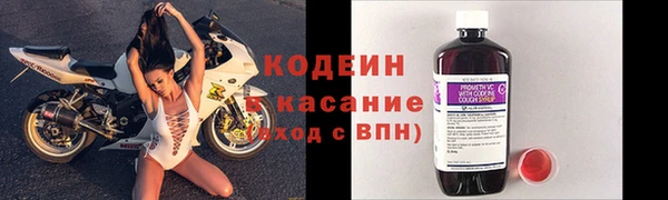 прущие грибы Белоозёрский