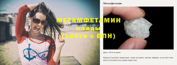шишки Беломорск