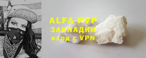 шишки Беломорск