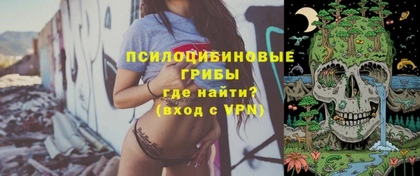 прущие грибы Белоозёрский