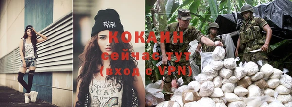 шишки Беломорск