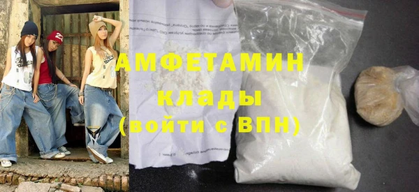 шишки Беломорск
