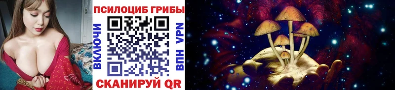 Псилоцибиновые грибы мицелий  Великий Устюг 
