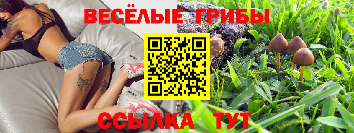 Великий Устюг  Псилоцибиновые грибы Psilocybine cubensis  где можно купить   Вход с VPN 