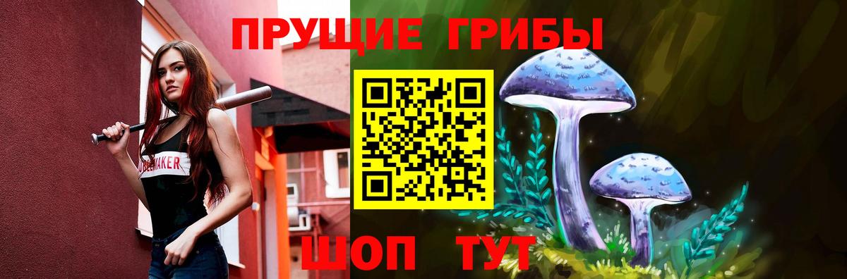 Галлюциногенные грибы Cubensis Великий Устюг