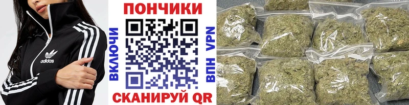 Каннабис план  Великий Устюг 